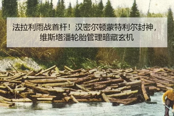 fa-la-li-yu-zhan-shou-gan-han-mi-er-dun-meng-te-li-er-feng-shen-wei-si-ta-pan-lun-tai-guan-li-an-cang-xuan-ji-2-528.jpg
